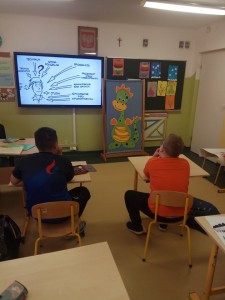 60344399_452023268876936_6131027997852958720_n