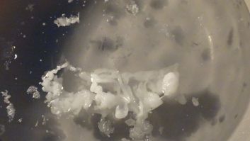 DSC05689