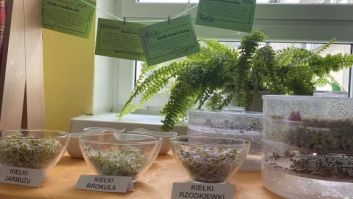 „Jadłodzielnia” 