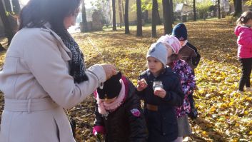 Na cmentarzu wojskowym 1c