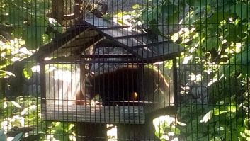 20160608_094924