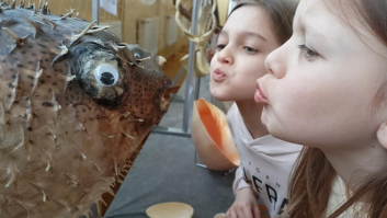 Wystawa "Skarby mórz i oceanów"